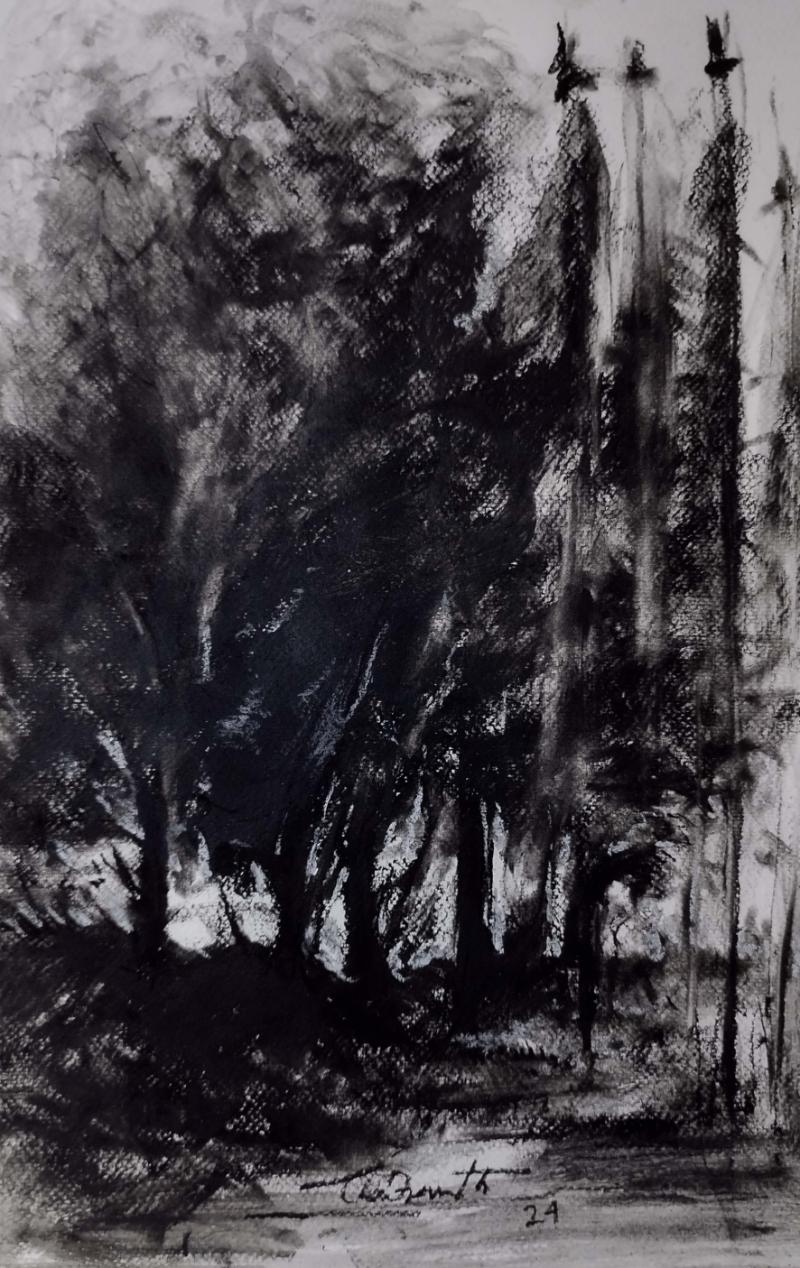 Selected artwork by Chandranath Das